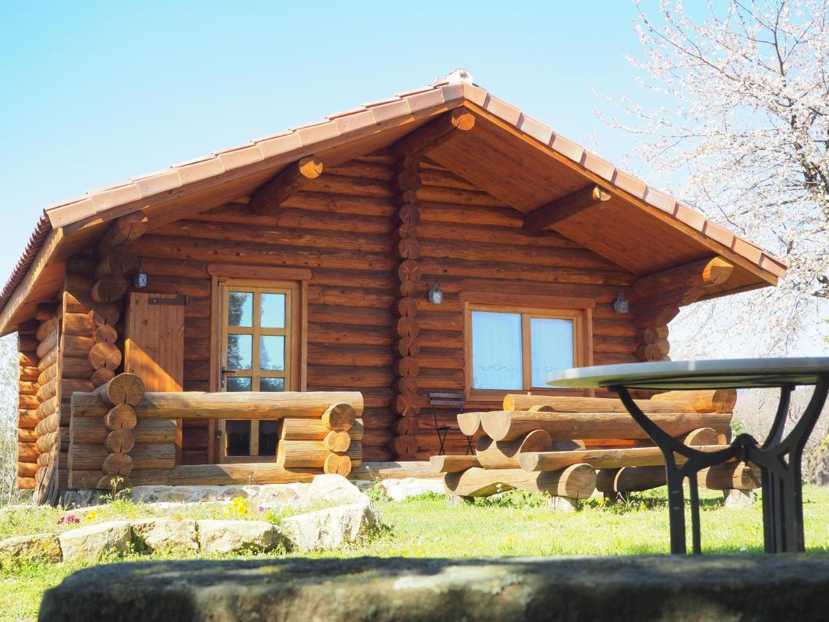 Mas Cal Sastre Guest House Sant Hilari Sacalm Exterior photo