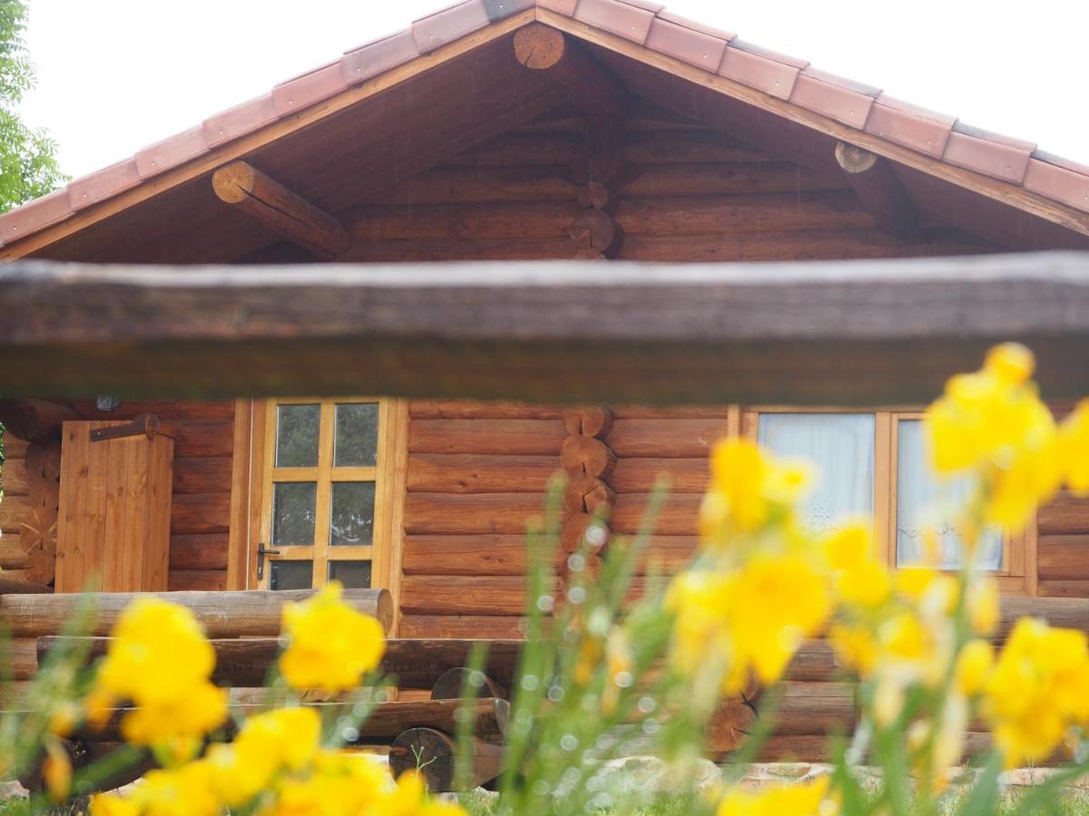 Mas Cal Sastre Guest House Sant Hilari Sacalm Exterior photo